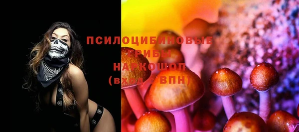 дмт Абаза