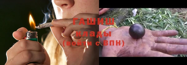 сатива Алзамай
