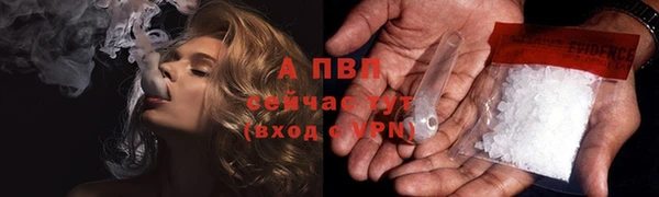 дмт Абаза