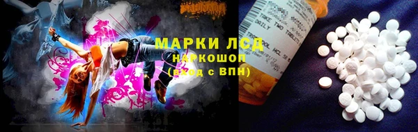 сатива Алзамай