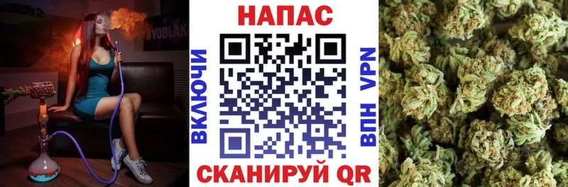 купить наркотик  darknet состав  Марихуана марихуана  Черкесск  hydra ССЫЛКА 